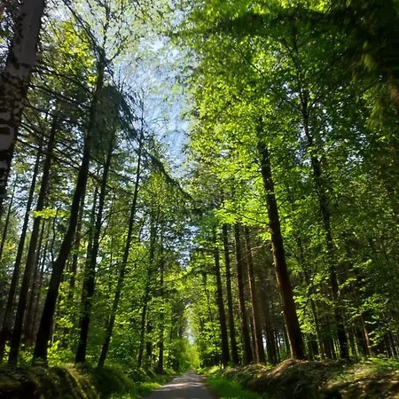 Les Tongs Des Pres, Au Coeur Du Parc Normandie Maine Сasa de vacaciones Livaie