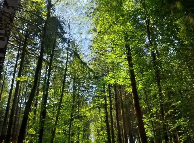 Les Tongs Des Pres, Au Coeur Du Parc Normandie Maine Ferienhaus Livaie